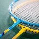 Deli deli badminton racket durable male and female beginner beginners send three balls to the racket F2101