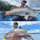BFW BONE FISHING WORLD骨头24款VOYAGE-X浪人X路亚竿四节旅行竿枪柄便携远投钓竿鱼杆 2.19m BXC-724MH 枪柄四节