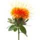 Meat manager Chinese herbal medicine safflower seeds saffron seeds Xinjiang grass safflower seeds pure new field planting seeds safflower seeds half Jin Jin is equal to 0.5 kg