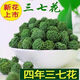【黑色星期五】2024年新三七花正品云南文山精选特 精选三七花[高品质]500克
