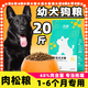 German Shepherd Puppy Dog Food 20 Jin Jin equals 0.5 kg Black East German universal golden retriever Teddy Labrador large dog 3 Jin Jin equals 0.5 kg 5kg Beef flavor pure food 10 Jin Jin equals 0.5 kg (for 1-6 months only)