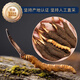[2024 Naqu End of Wild Cordyceps] QOMO Naqu Origin Seasonal Fresh Cordyceps in Naqu, Tibet Wild Cordyceps Cold Chain Gift Box Dragon Boat Festival Gift Box Naqu Wild Cordyceps 0.8g/root 100 Roots Pack