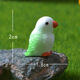 Cartoon cute mini parrot micro landscape gardening potted ornaments blind box mini parrot set of 4