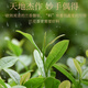 传奇会乌龙茶 安溪铁观音 清香型特级250g轻火礼盒装兰花香茶叶送礼礼品