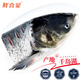 Fresh Love Frozen Qiandao Lake Organic Silver Carp Head 1.5 Jin Jin equals 0.5 kg Silver Carp Head Fresh Fish Seafood Aquatic Products
