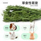 Xishuai dried carrot tassel baby rabbit food pasture lop-eared rabbit food hay chinchilla guinea pig feed 500g net weight/box