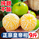 Yimeng Fruits and Vegetables Authentic Guangxi Emperor Citrus Tribute Orange Tribute Fresh Fruit Seasonal Picked Fruit Mid-Autumn Festival Gift Box Gift 5Jin Jin is equal to 0.5kg Jutian Tribute Fruit丨60MM+ Net 4.5Jin Jin is equal to 0.5kg