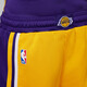 Nike (NIKE) official boys Los Angeles Lakers ICON NBA big kids quick-drying shorts FZ1187 728 Amarillo yellow/Los Angeles Lakers 150 M