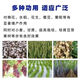 Agricultural Potassium Sulfate General Fertilizer for Fruit Trees and Vegetables Fully Water-Soluble Potassium Fertilizer Nutritional Quick-acting Potassium Sulfate 50kg 50Jin Jin is equal to 0.5kg Packed