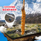 
[Tibet Straight Hair] Nagqu First Stubble Cordyceps Authentic High-altitude Dried Cordyceps Gift Boxes First Choice Special Cordyceps King 2 Roots/G 100 Roots