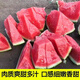 High-yielding watermelon seedlings 8424 Rock Sugar Kirin Melon Sweet King Large Watermelon Seedlings Southern Balcony Potted Small Watermelon Seedlings High Quality 8424 Watermelon Seedlings Carefully Selected 10 Plants, Lots of Fruit + Fertilizer