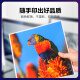 彩格适用OKI C844粉盒C824DN硒鼓C834NW墨盒C835dnw n墨粉盒碳粉盒 【10000页】C844/C824黑色大容量粉盒