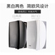 先科（SAST）DW40壁挂式音响音箱喇叭 40W无源需连功放机店铺商用工程会议室家用餐厅公共广播背景音乐 4英寸	