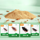Green Leaf Cockroach Medicine Granules Cockroach appât tuer le cafard tuant 100 g de cafard tuant l'insecticide 1047