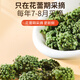 Tongrentang Beijing Tongrentang Sanqi Flower Tea 160g Yunnan Wenshan Tianqi Season New Flowers No Broken Mid-Autumn Festival Gifts