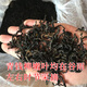 青钱柳批发修水金钱柳张家界青钱柳湖南城步茶 78克嫩叶春采一罐