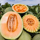 Dayu Xinjiang Hami melon seed seedlings mesh melon early maturing jade mushroom ice cream melon seeds southern Melon Prince No. 3 Hami melon seeds 30 capsules