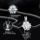 Grace Girl One Carat Moissanite Necklace Women's Collarbone Chain Snowflake Pendant Chinese Valentine's Day Birthday Gift for Girlfriend