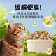 Wilson's Greedy Whole-Term Cat Food Cat Food Domestic Cat Cat Food Chicken Flavor Fattening Nutritional Affordable Cat Food 5Jin Jin equals 0.5kg Classic Fish Flavor