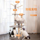 Huayuan pet (hoopet) cat climbing frame small apartment cat nest cat tree integrated medium sisal cat scratching post vertical cat shelf cat toy cat scratching board