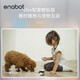 enabot ebo se移动监控摄像头家用宠物监控机器人智能猫咪陪伴wifi联网家庭巡航双向对讲异地恋电子男友 Ebo se版+128G存储卡（约12天回放录像）