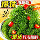 盐渍海葡萄泡发食用 儿童海藻菜海洋蔬菜海草 海葡萄100g*3袋【送芥末酱油】