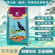Kaiyuan (KO) full price myna food, bird food, bird food, feather aid bird food, probiotic nutritious bird food 1000g 1 bottle/bag