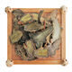 Panax Notoginseng rebanadas 30 cabezas Yunnan Wenshantian Siete rebanadas auténticas sin cortes Silvaciones delgadas delgadas de té Brewed Panax Notoginseng Slices 30 cabezas 500G