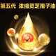 
Beijing Tongrentang [Official Authentic Store] Ganoderma lucidum spore oil authentic Changbaishan Ganoderma lucidum spore oil Ganoderma lucidum spore powder extraction flagship quality Ganoderma lucidum spore oil 480 capsules 4 bottles