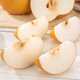 Good Farmer Laiyang Qiuyue Pear Authentic Large Fruit Net Weight 4.5 Jin Jin equals 0.5 kg 6-9 pieces Fresh Fruit Gift Box