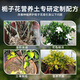 Shangyang gardenia special nutrient soil 8L gardening vegetable and flower soil planting flower granular soil organic peat soil