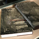 中国绘画大师精品：龚贤  山水画作品集 天津人民美术出版社定价680元  名家画集