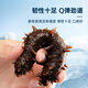 Fresh Dalian ready-to-eat sea cucumbers 1 Jin Jin equals 0.5 kg 10-16 pieces Solids 75% OCC Seafood