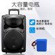 Xinke H318 Square Dance Audio Outdoor Speaker Bluetooth Trolley High Power Large Volume Portable Mobile Performance K Song Dancing Street Stall 15-inch Dual Microphone Version