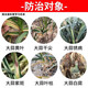 Garlic bacteria clear original solution garlic special medicine dry tip yellow leaf root rot leaf blight leaf blight rust purple spot biofertilizer agent one bottle of garlic bacteria clear