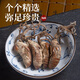北京同仁堂原料中药饮片精选金蝉花中药材2023新货大虫草知了蝉花孢子粉草非500g克 金蝉花500g新货