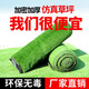 Qingya lawn artificial turf fake grass fence outdoor decoration kindergarten children's playground fake turf artificial fake turf 5.0cm football grass 1 flat
