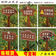 Customized flower and grass reminder signs, placards, billboards, lawn signs, ground signs, green signs, lawn signs, warning signs, small size, 2cm thick, not easily deformed