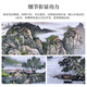 Zhao's Hengxi (ZONLOLV) Chinese ink painting hand-painted authentic Chinese painting landscape painting backing picture to attract wealth office hanging painting living room decoration painting mahogany color solid wood frame FaShunFeng framed 278*118cm