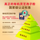 
Zhenhuang Beijing Tongrentang Break Wall Ganoderma lucidum spore powder enhances immunity, poor physical fitness, postoperative nutritional supplements for middle-aged and elderly people