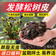 Flower Master orchid planting material, fermented decomposed pine bark, imported from New Zealand, pine scale Phalaenopsis planting substrate, special soil block, domestic fermented bark 6 liters (12~18mm) machine screened to remove impurities