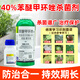 Donghe Biotech 40% difenoconazole leaf spot disease powdery rust fruit tree vegetable flower fungicide pesticide anthracnose 50g