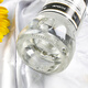 
Captain Oud (CAPTAIN'S RHUM) [original bottle] French white rum foreign wine Captain Oud Oud's white rum 700mL 6 bottles