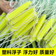 Imported three-layer sunken fishing net, thickened green silk sticky mesh, weighted fishing net, crucian carp, big silver carp, carp net, three-layer 1.5 meters high, 2 fingers, 40 meters weighted sunken net