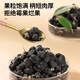 同仁堂品牌 北京同仁堂黑枸杞500克（250g *2罐）特产黑枸杞子配滋补茶