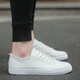 Wangzhibu Canvas Schuhe Herren 2025 Frühling und Herbst Neue Freizeitschuhe Herren koreanische Version VERSATILE FOLIG COLOR TOOD SHOUS Flat-LOLED-Schnüre-up White Schuhe 1712 White 41