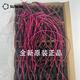 DC-Lüfter Hochluftvolumen 5 cm 5010 5015 Maglev 12V Bass 24V Wechselrichterkühllüfter 5015 Hochgeschwindigkeit MF50152V1-1000C-G99
