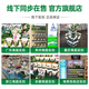 生命阳光纯牛初乳粉60袋免疫球蛋白粉儿童术后成人月子化疗老年营养新西兰 纯牛初乳2罐120袋