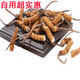 The Lord of Night Cordyceps sinensis dried goods Authentic Cordyceps sinensis Cordyceps sinensis large broken grass succulent festival Selected 1 bottle 1g Selected large broken grass experience package