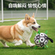 QiOh Dog Toy Ball, Bite Resistant, Self-Happy Toy, Labrador, Corgi Training, Dog Football, Pet Supplies, Size M - Medium and Large Dogs, Thickened Upgraded Model